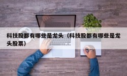 科技股都有哪些是龙头（科技股都有哪些是龙头股票）