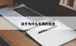 关于为什么车震的信息