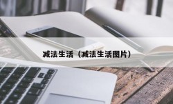 减法生活（减法生活图片）