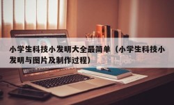 小学生科技小发明大全最简单（小学生科技小发明与图片及制作过程）