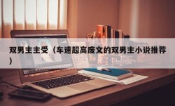 双男主主受（车速超高废文的双男主小说推荐）