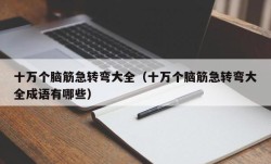 十万个脑筋急转弯大全（十万个脑筋急转弯大全成语有哪些）