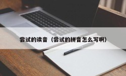 尝试的读音（尝试的拼音怎么写啊）