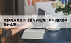 爱你到底为什么（爱你到底为什么只因你爱我是什么歌）