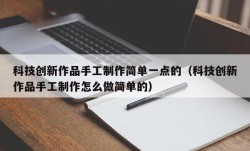 科技创新作品手工制作简单一点的（科技创新作品手工制作怎么做简单的）