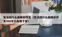 生活因什么而精彩作文（生活因什么而精彩作文500字六年级下册）