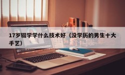 17岁辍学学什么技术好（没学历的男生十大手艺）