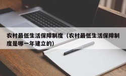 农村最低生活保障制度（农村最低生活保障制度是哪一年建立的）