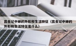 昆虫记中蝉的外形和生活特征（昆虫记中蝉的外形和生活特征是什么）