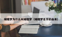 蝴蝶梦为什么叫蝴蝶梦（蝴蝶梦名字的由来）