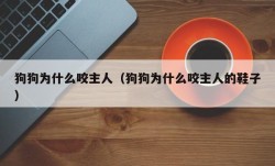 狗狗为什么咬主人（狗狗为什么咬主人的鞋子）