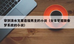 穿到清水文里造福男主的小说（女主觉醒做春梦系统的小说）
