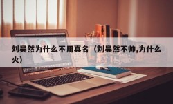 刘昊然为什么不用真名（刘昊然不帅,为什么火）