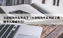 小沈阳为什么不火了（小沈阳为什么不红了真相令人唏嘘不已）